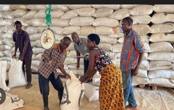 ADMARC Yet to Receive K40 Billion as Delays Leave Farmers Exposed to ...
