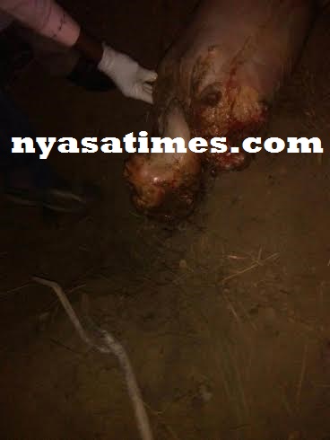 Brutally attacked person with albinism in Malawi