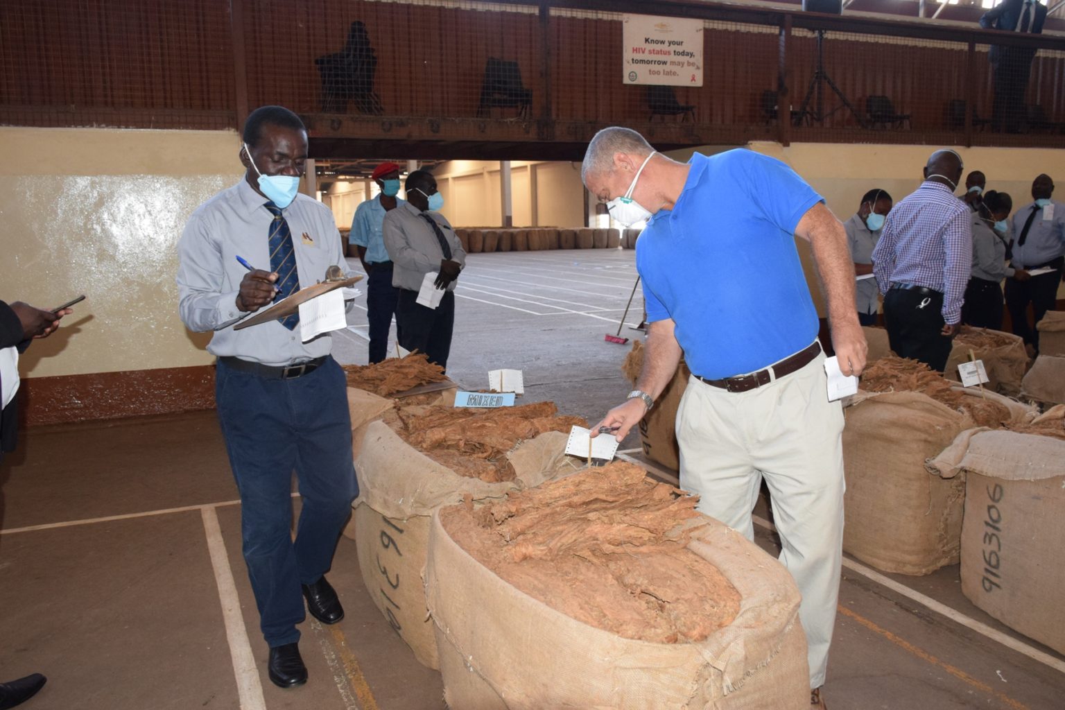 Tobacco Sales Up, Prices Down: Malawi Earns $15.3 Million as Quality ...