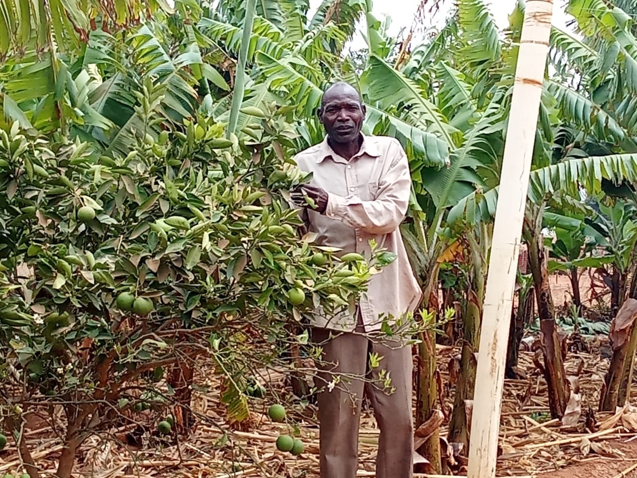 Malawi Farmers Praise Nasfam for Crop Diversification Initiative