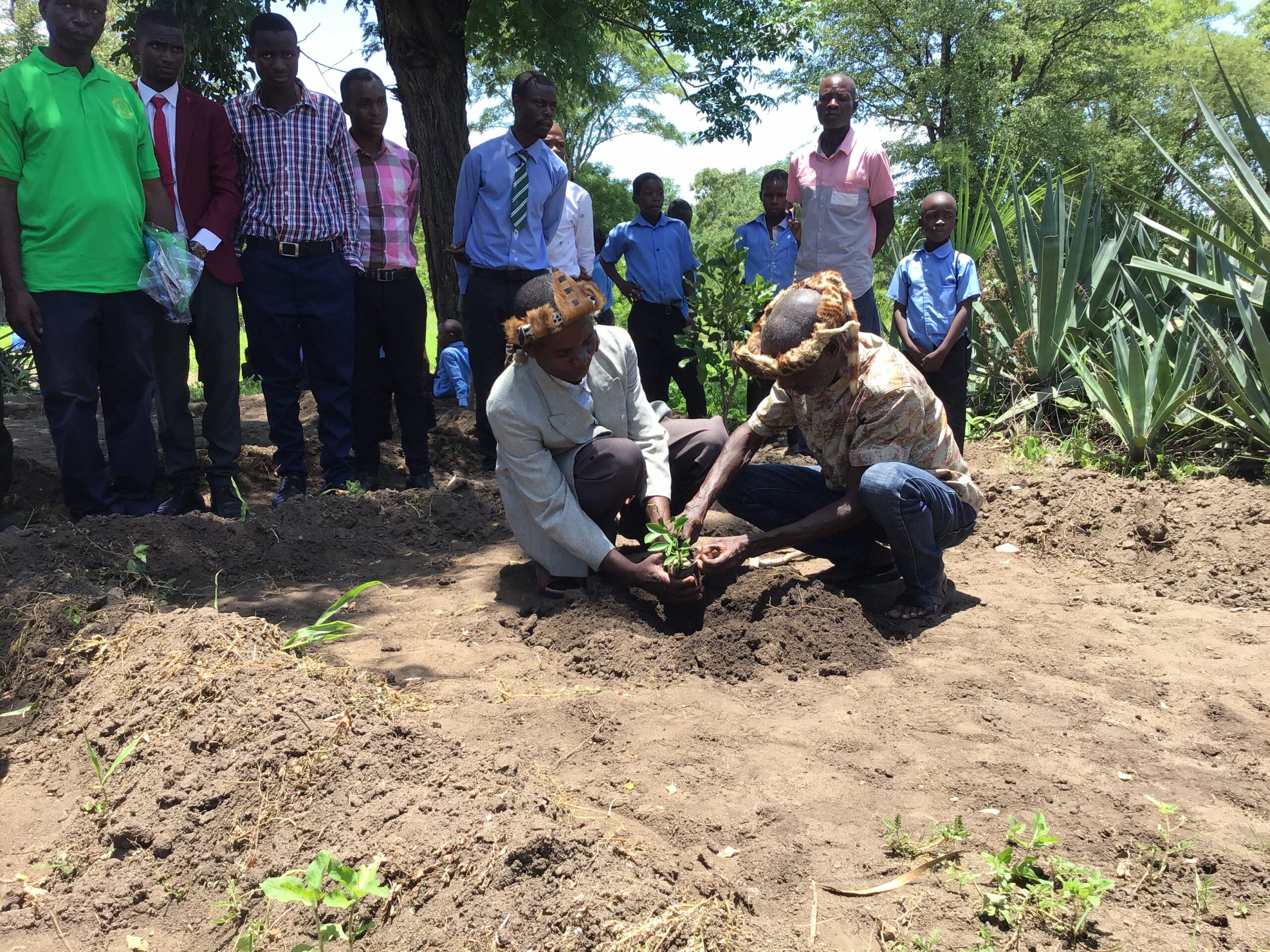 ESCOM launches fruit tree planting exercise in Neno along Mozambique-Malawi power interconnection stretch - Vimarsana News
