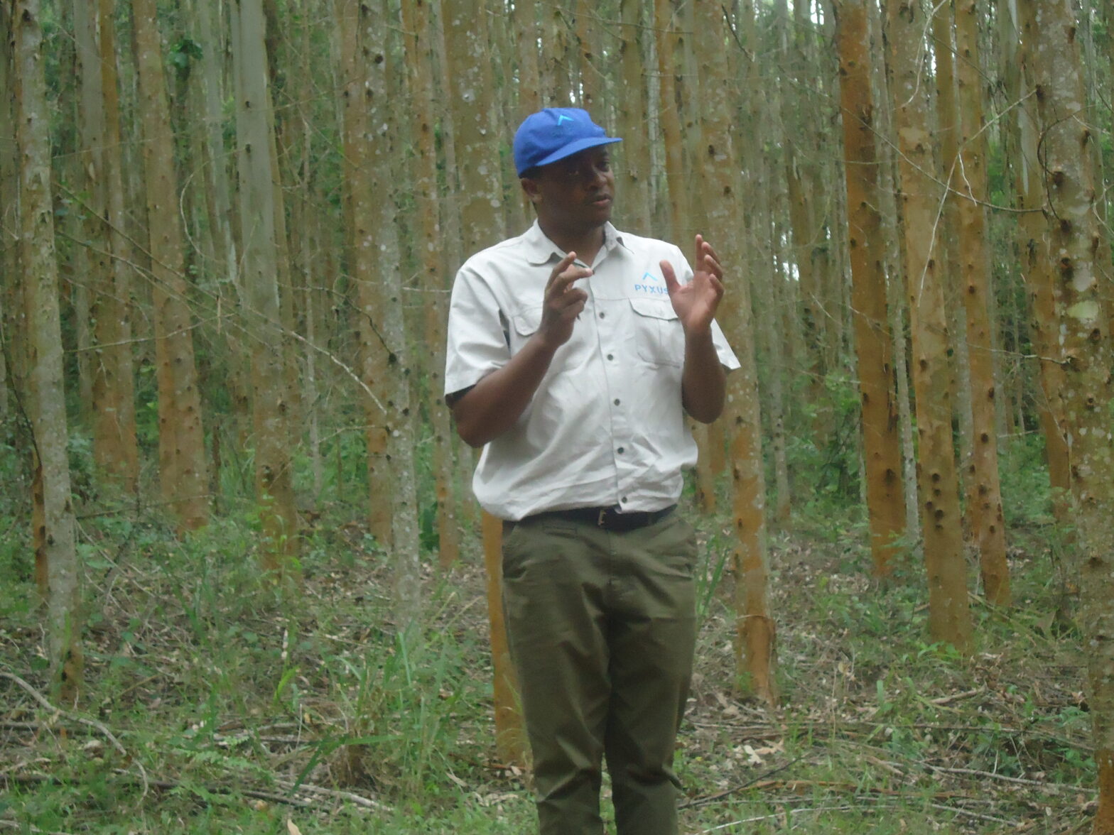 Pyxus Malawi US government hails Pyxus’s reforestation drive - Malawi Nyasa Times ...
