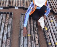 Malawi officials dismiss smear campaign against rare earths miner Lindian