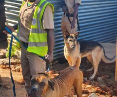 Target Security Group dog handlers